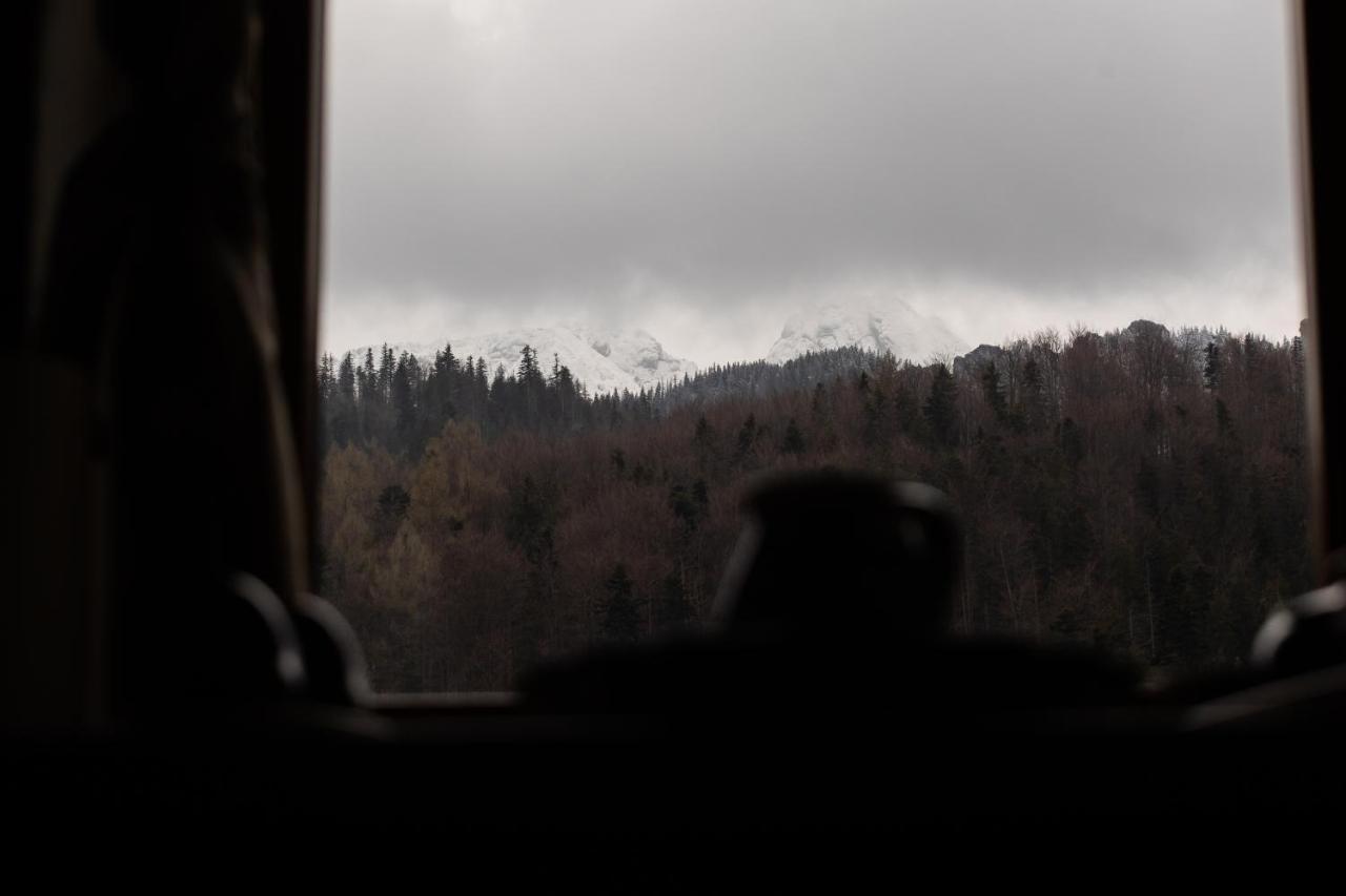 Apartament Blisko Szlaku Zakopane 아파트 외부 사진