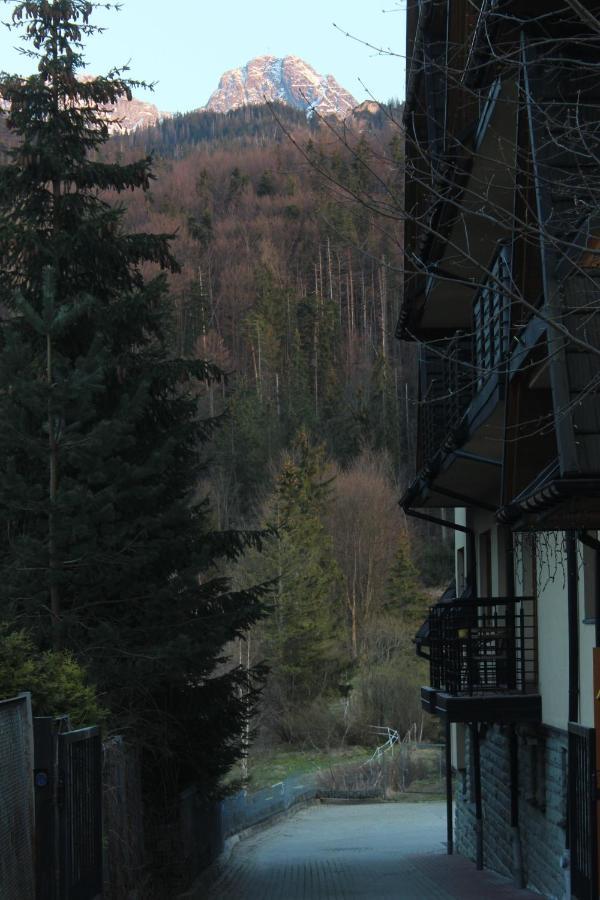 Apartament Blisko Szlaku Zakopane 아파트 외부 사진